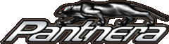 Panthera�i�p���e�[���j