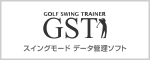 GST データ管理ソフト