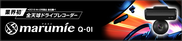 Q-01