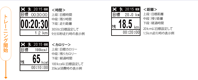 トレーニング開始