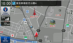 グレースケール表示(特許出願中)