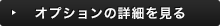 オプションの詳細を見る