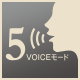 5voiceモード