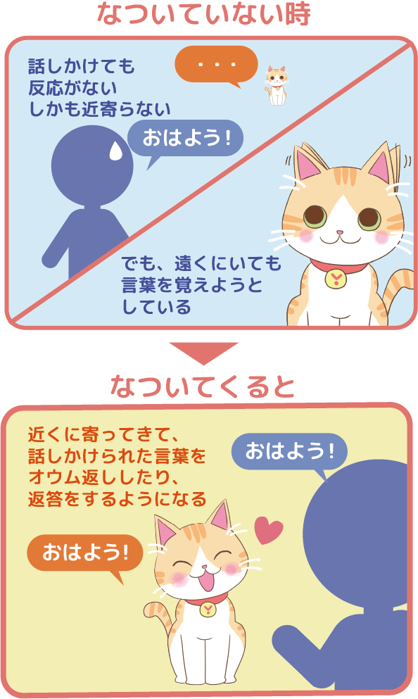 Juno（ユノ）は話しかけても反応がないけど、遠くにいても言葉を覚えようとしている