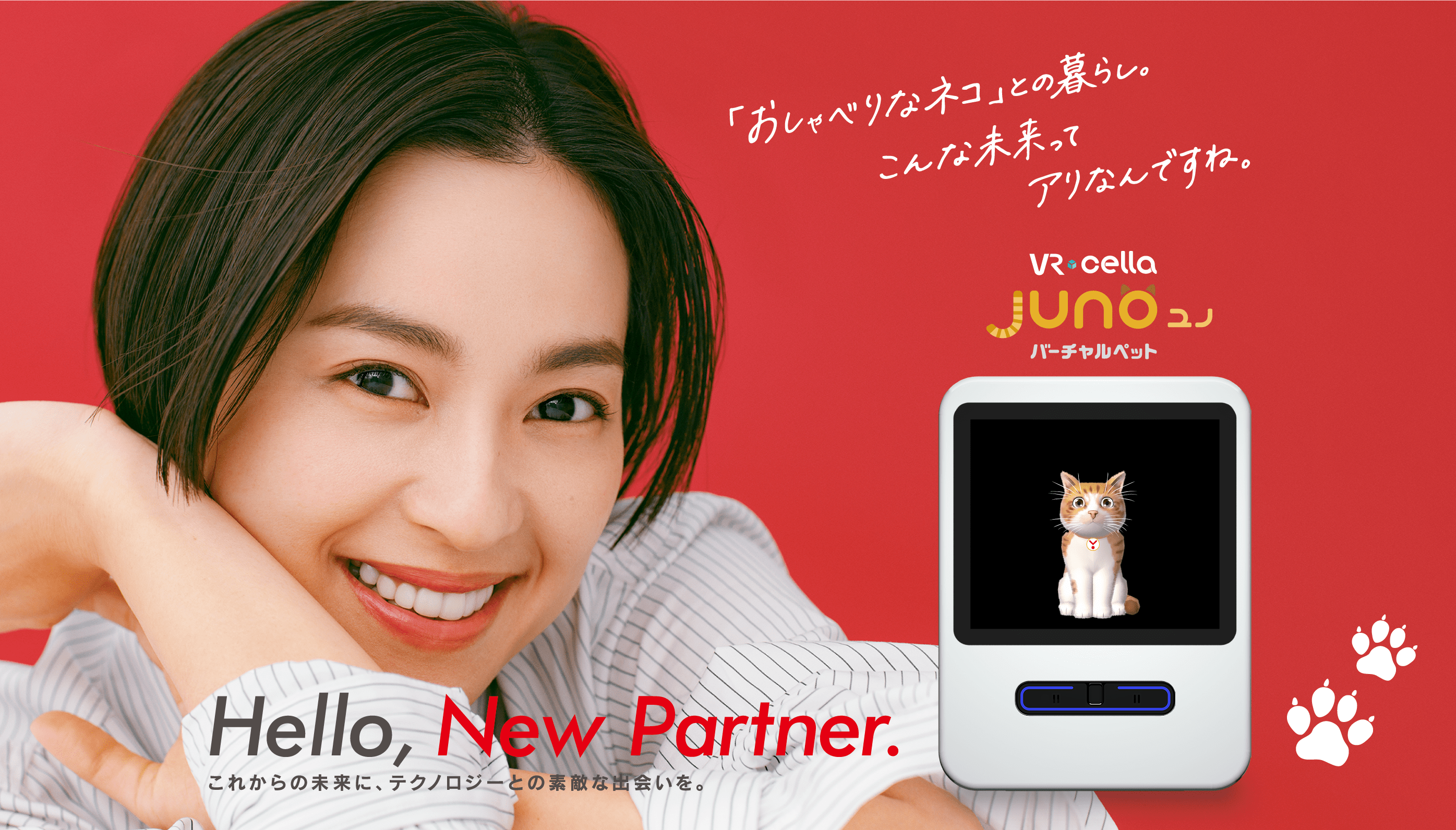 Juno ユノ　「おしゃべりなネコ」との暮らし。こんな未来ってアリなんですね。 Hello,New Partner.
