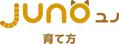 Juno育て方