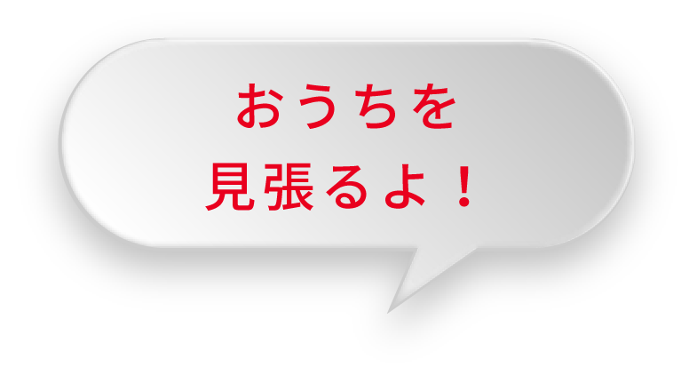 おうちを見張るよ！