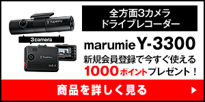 Y-3300