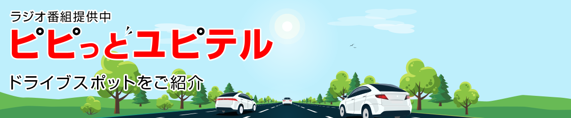ピピっとユピテル