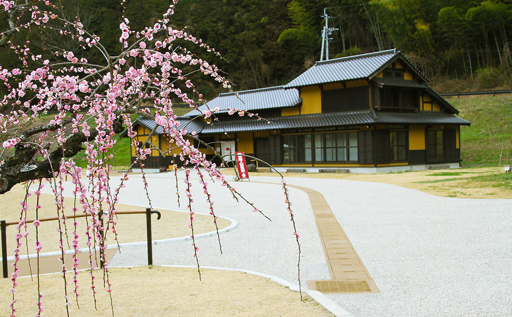 益城町