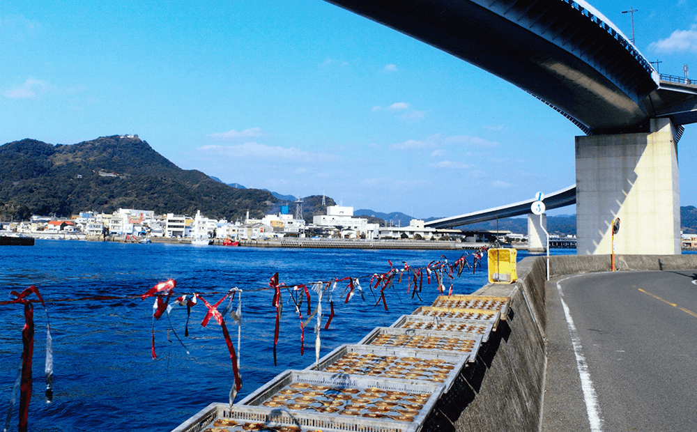 牛深ハイヤ大橋