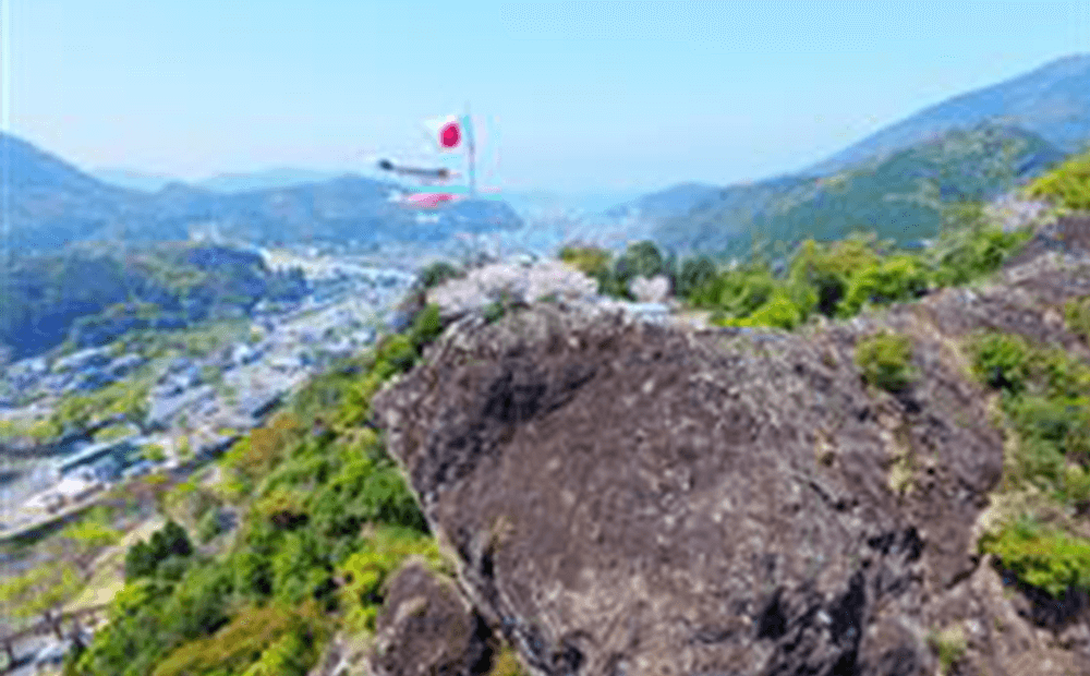 舞鶴城公園