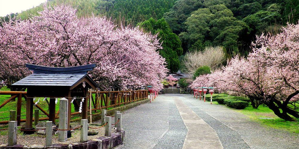 薩摩川内市「藤川天神」&周辺スポット