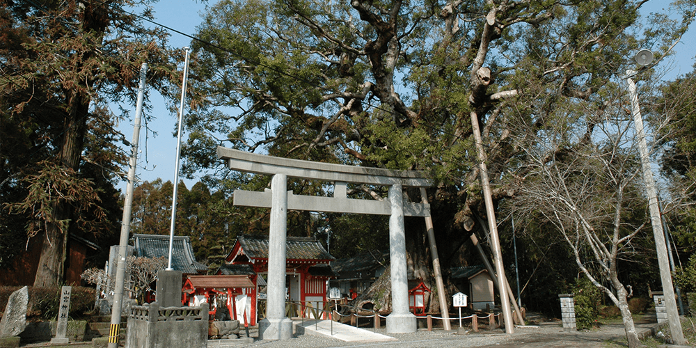 志布志市「山宮神社」&周辺スポット