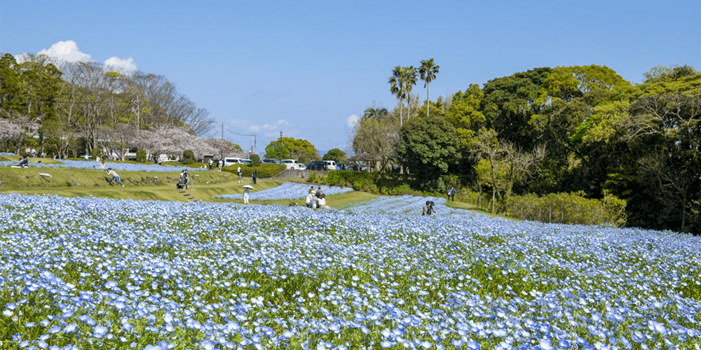 西之表市「浦田海水浴場」&周辺スポット