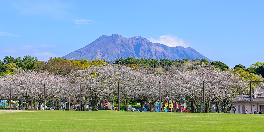 鹿児島市「鹿児島県立吉野公園」&周辺スポット"